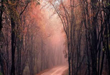 开云体育-AC米兰阵容混乱，球队需统一战线共进退