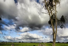 开云APP-西雅图海湾者新援首秀引期待，世俱杯表现备受关注