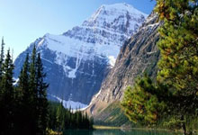 开云体育入口-海鸥翱翔云端！布莱顿历史性夺冠全记录