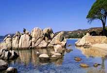 开云体育-AC米兰阵容混乱，球队需统一战线共进退