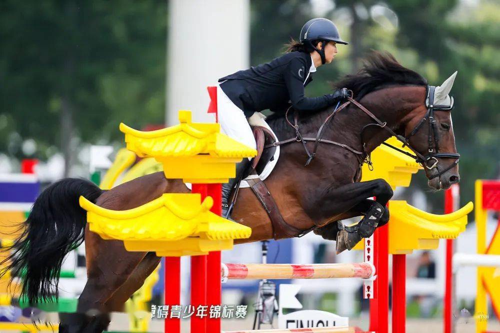 乌拉圭运动员在马术比赛中表现出色 乌拉圭运动员在马术比赛中表现出色