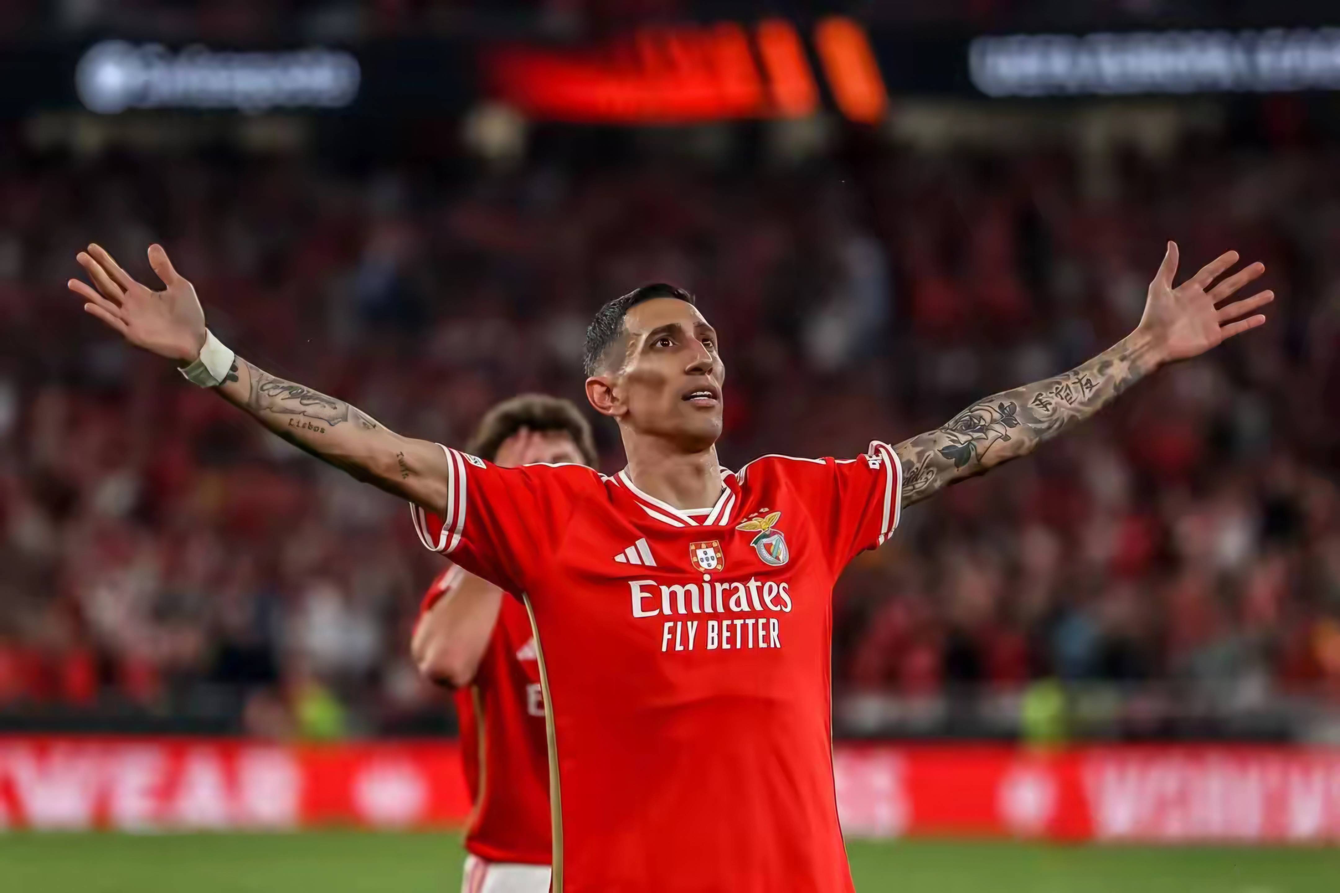 开云体育app-南美选手火力全开，夺冠无数赛事的简单介绍