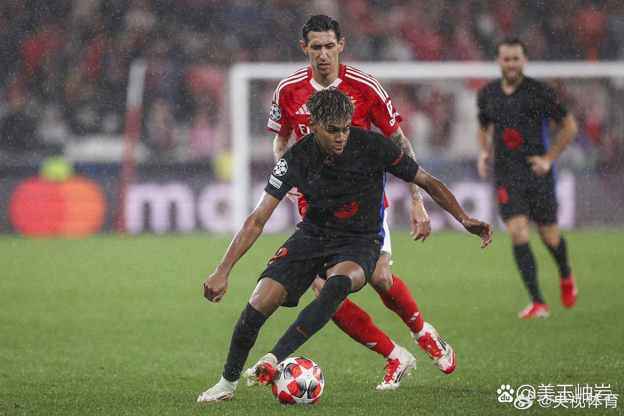 开云体育中国-里尔主场失利，遭遇连败