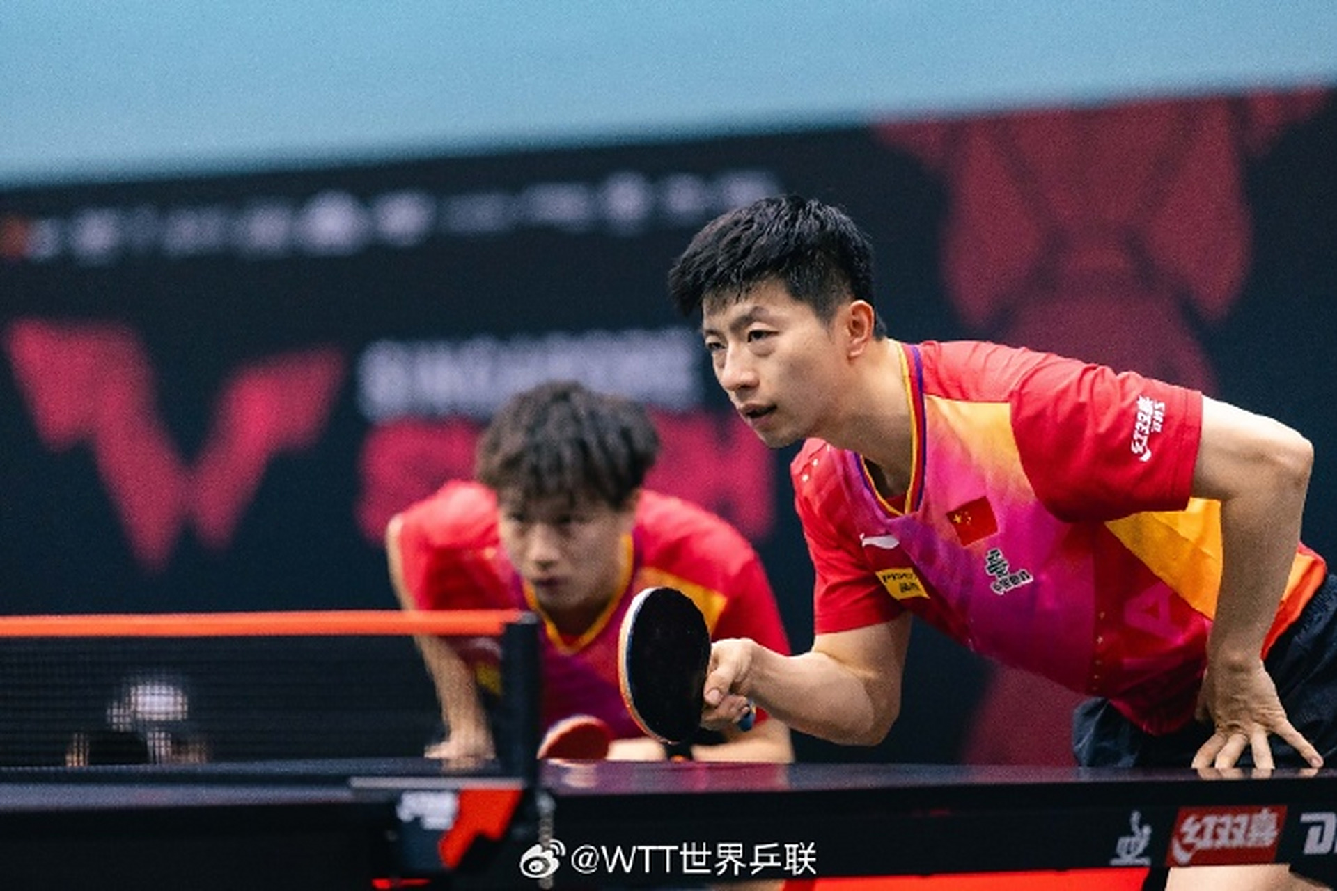 韩国乒乓球队强势比利时乒乓球队,马龙统治全场的简单介绍 韩国乒乓球队强势比利时乒乓球队,马龙统治全场的简单介绍