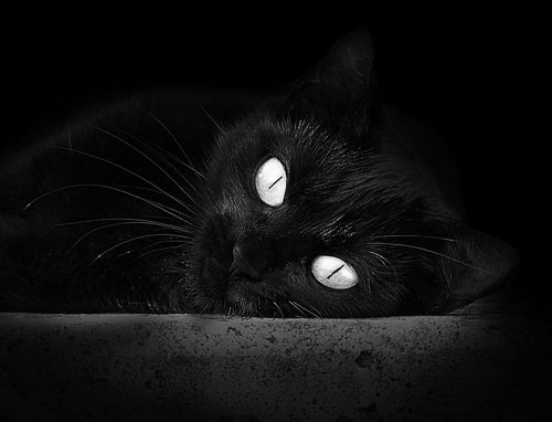 开云体育官方网站-暗夜中的竞速狂想曲，当F1引擎唤醒另一个赛场的大胡子哈登