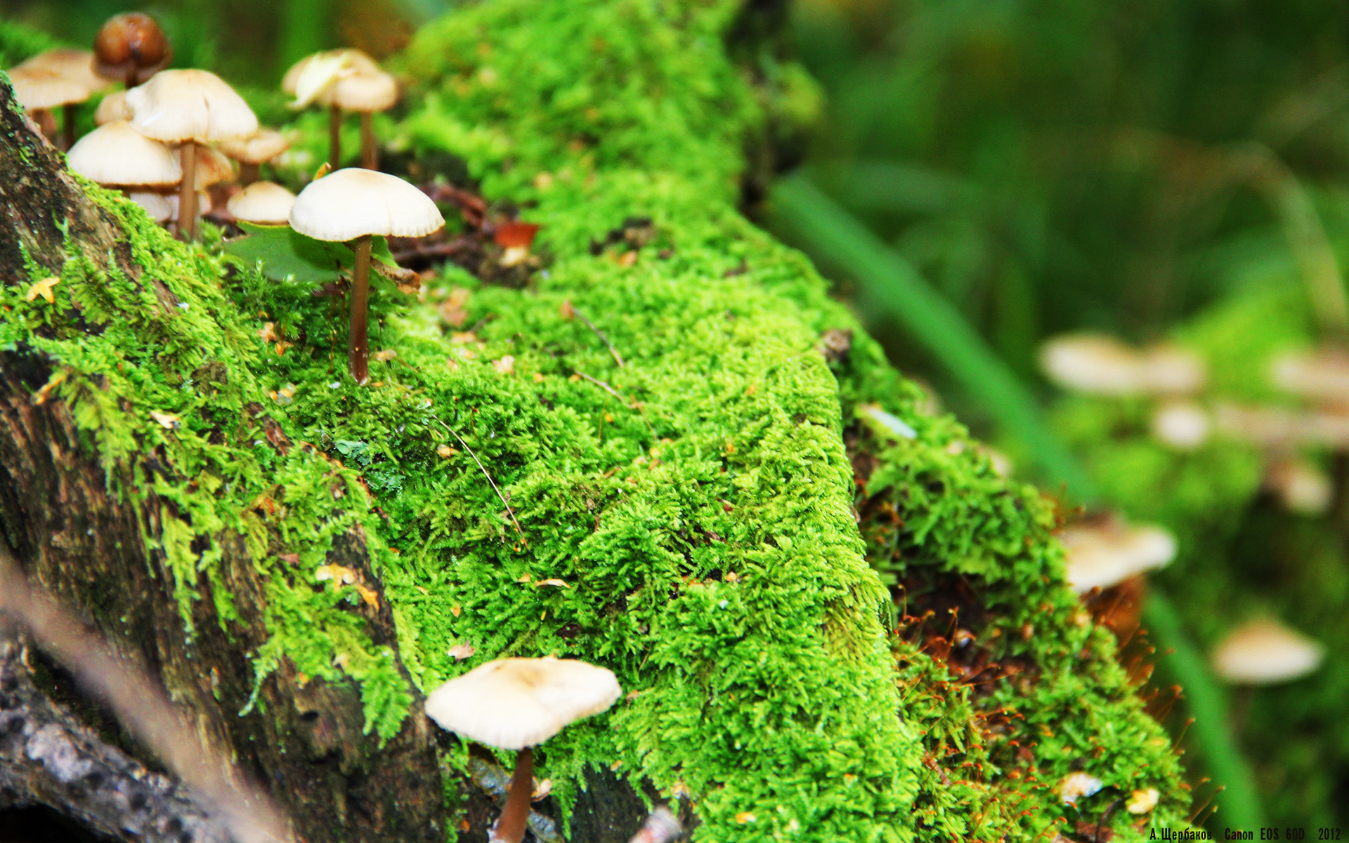 开云体育在线-西甲国家德比之夜，铁幕之下，罗德里编织的无解王权更迭