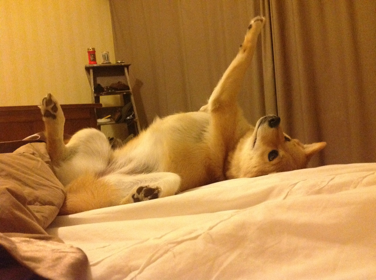 德国战车碾过佛罗伦萨,莫德里奇英超争冠接管比赛—足球世界的双重奏鸣