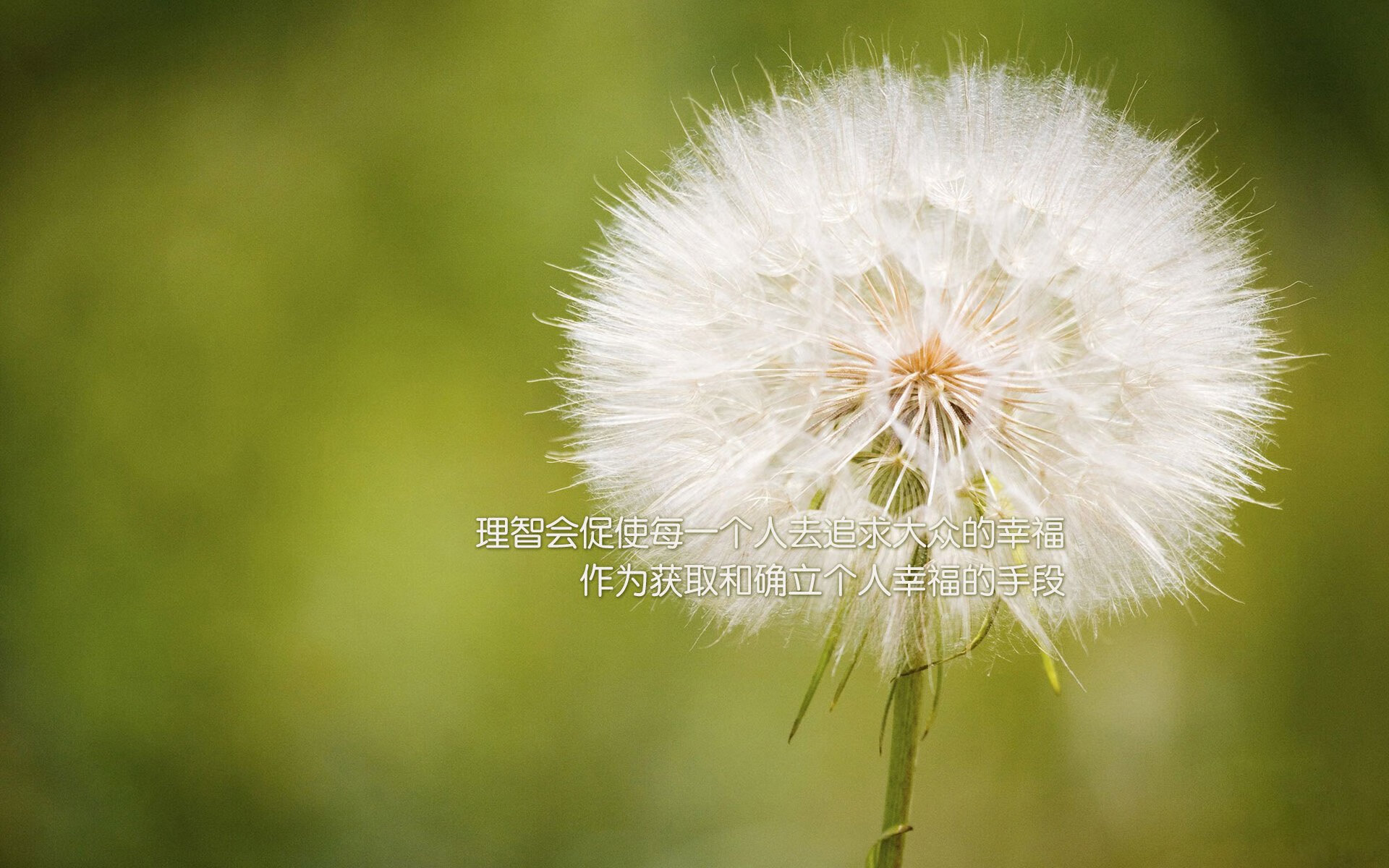 布克主宰战局，雄鹿与勇士的巅峰对决中，一人定乾坤