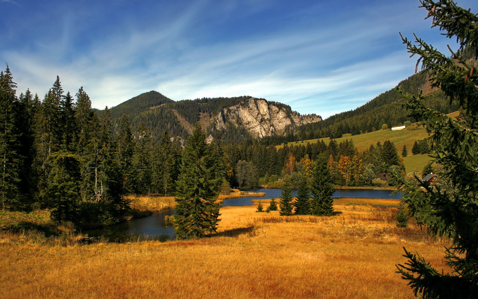 速度之巅与战术碾轧，当F1引擎咆哮着遇见太阳风暴