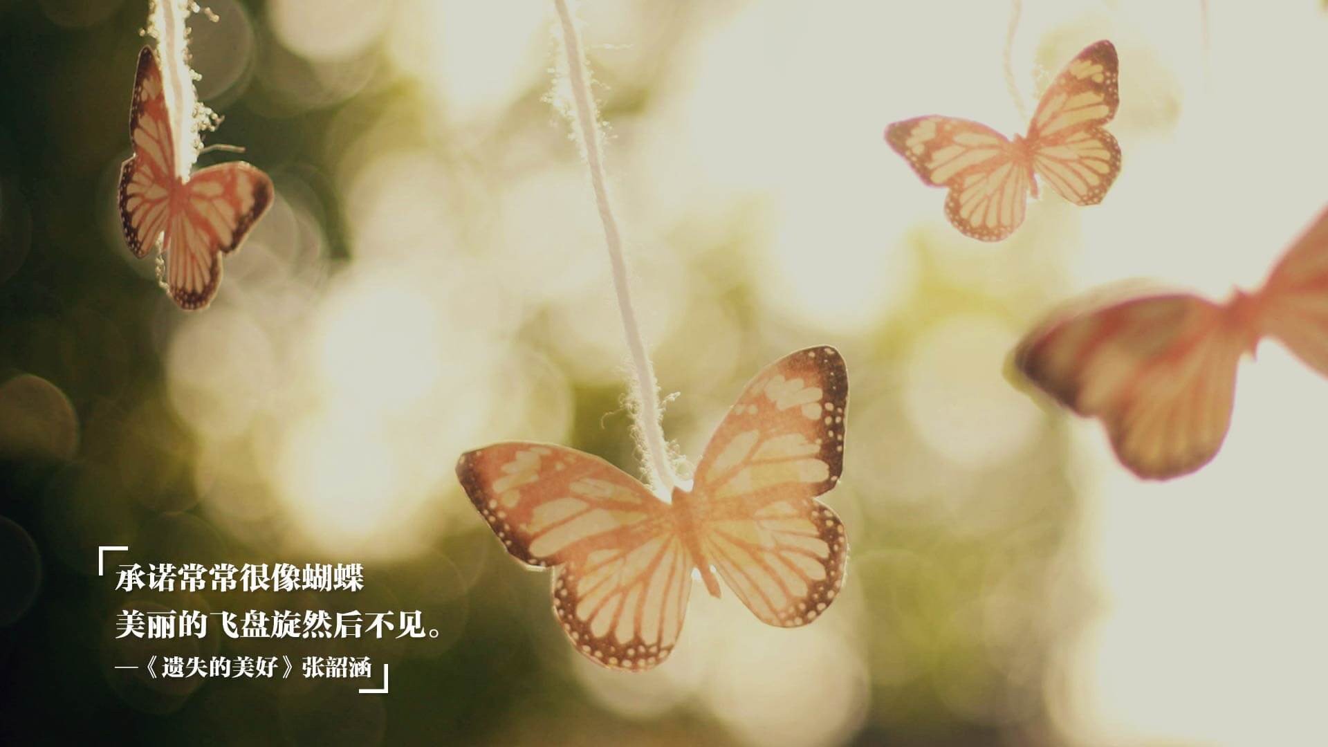 开云体育APP下载-德甲争冠战焦点战，拜仁力克佛罗伦萨，捍卫霸主荣耀