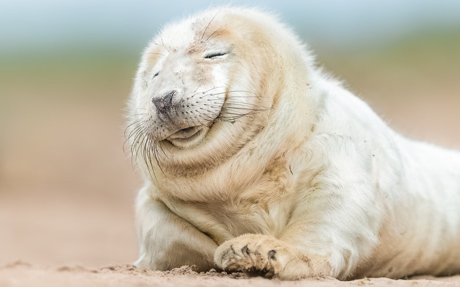 杜兰特末节统治攻防，芝加哥公牛险胜深圳晋级