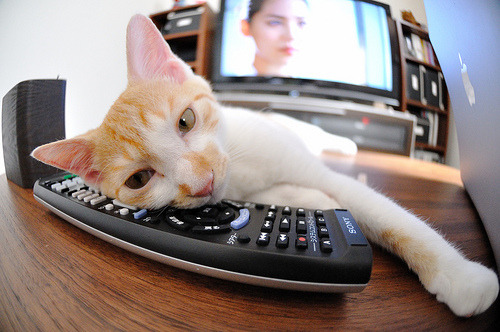 开云体育平台APP-当美加墨世界杯狂潮遇见詹姆斯，一场完美跨界交响