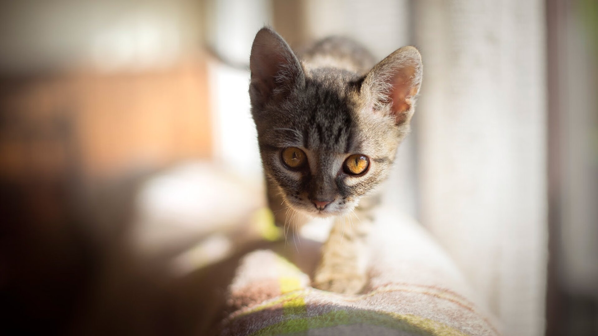 开云体育下载-萨拉赫状态火热引领利物浦狂飙，几内亚国家队友谊赛横扫毕尔巴鄂竞技
