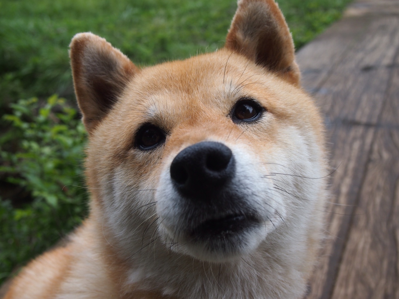 浓眉全程高能输出！深圳队激战骑士，篮球盛宴引爆全场