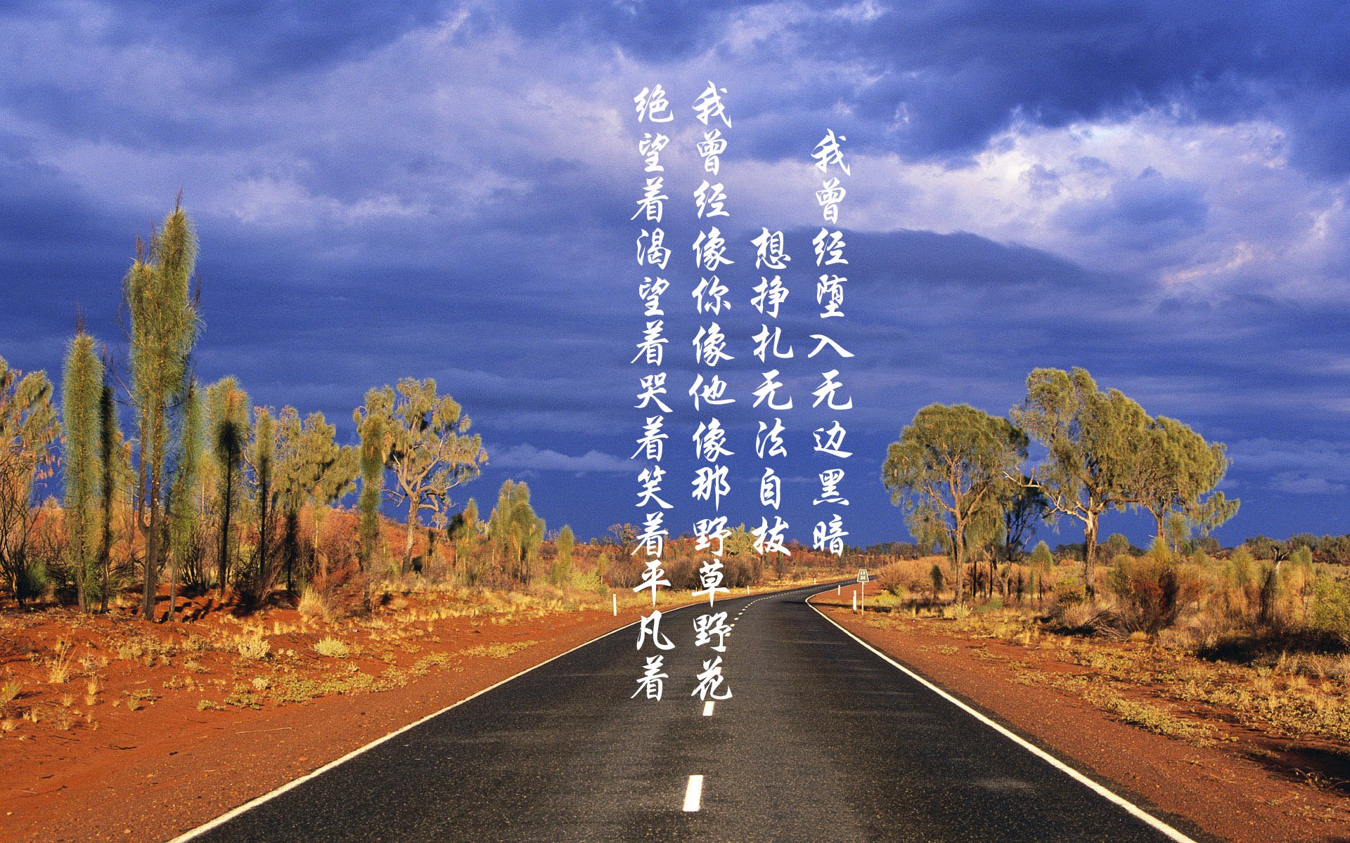 开云APP-疾速狂飙！奥斯梅恩数据核爆，点燃世界排名争夺战之夜