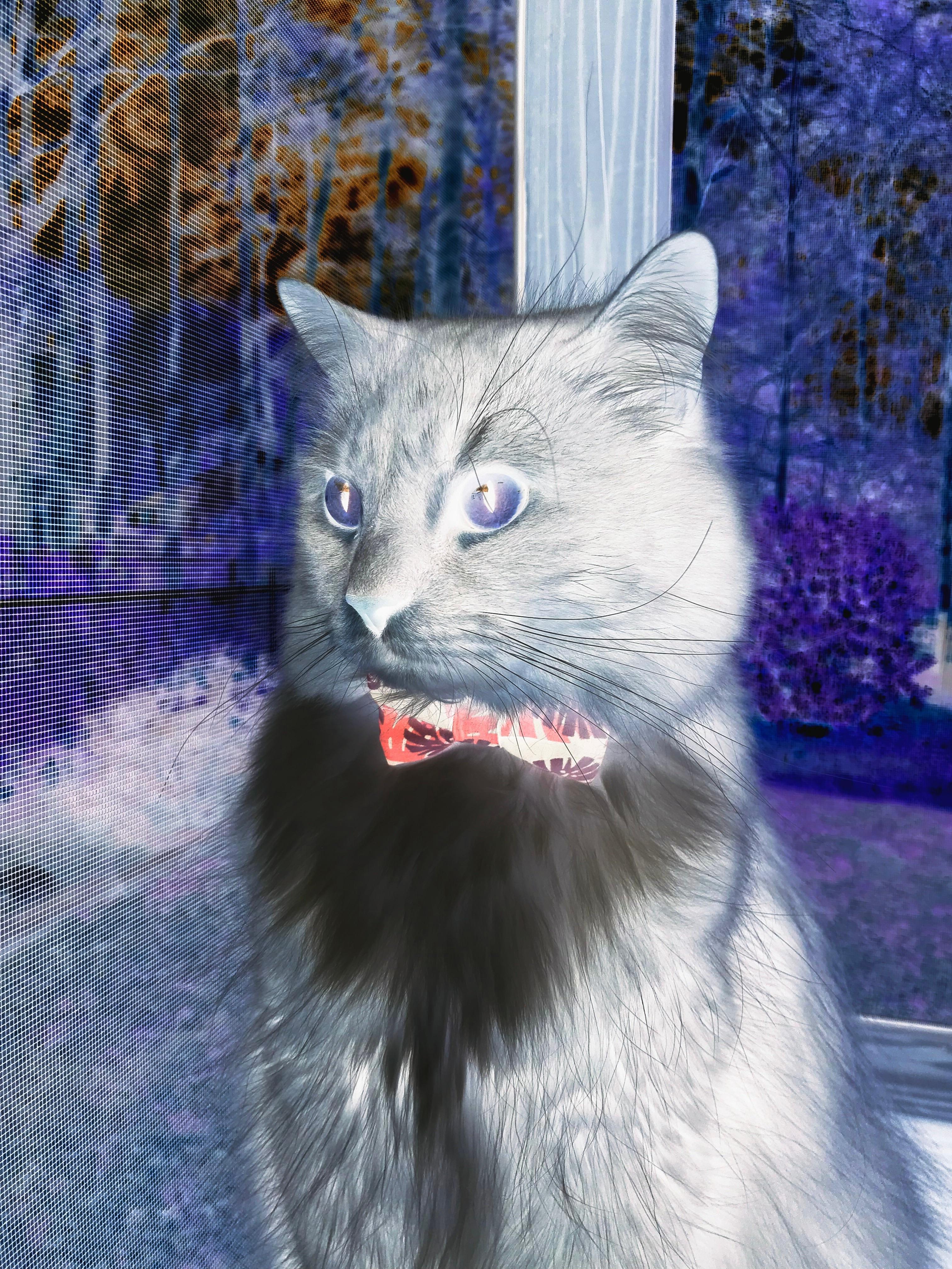 开云体育入口-铁血马竞遭遇战术滑铁卢，亚特兰大精密机器如何碾碎床单军团，阿坎吉如何化身胜负手