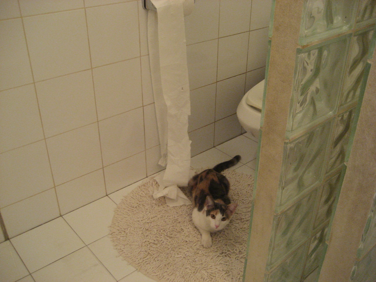 开云体育app-南美的压制与亚平宁的爆发，哥斯达黎加的团队哲学与罗德里戈的个人主宰